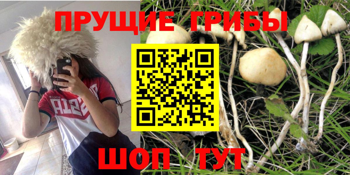 Псилоцибиновые грибы ЛСД Муром